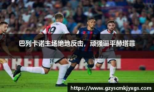 米兰体育